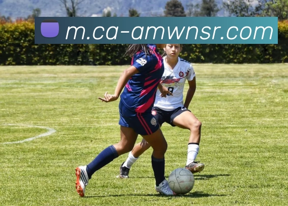 App Interface Preview