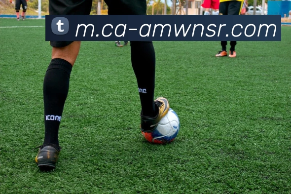 威尼斯人官网APP 封面图